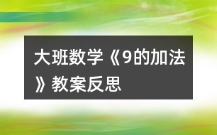 大班數(shù)學(xué)《9的加法》教案反思