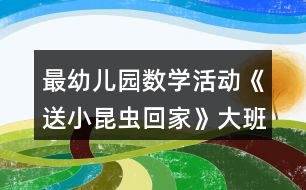 最幼兒園數(shù)學(xué)活動(dòng)《送小昆蟲回家》大班教案反思