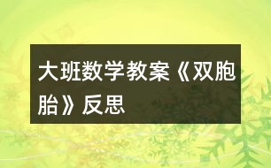 大班數(shù)學教案《雙胞胎》反思