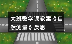 大班數(shù)學課教案《自然測量》反思