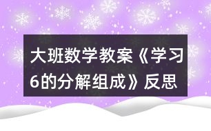 大班數(shù)學教案《學習6的分解組成》反思