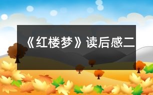 《紅樓夢》讀后感（二）