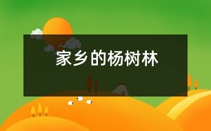 家鄉(xiāng)的楊樹林