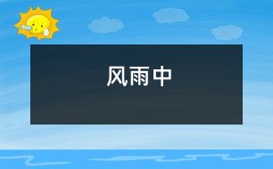 風(fēng)雨中