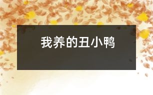 我養(yǎng)的丑小鴨