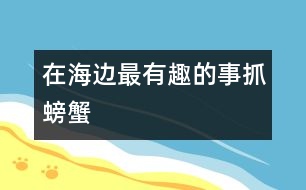 在海邊最有趣的事——抓螃蟹