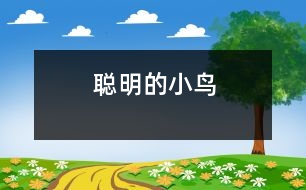 聰明的小鳥