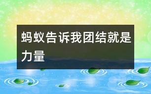 螞蟻告訴我——團結(jié)就是力量