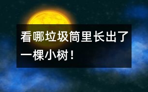 看哪垃圾筒里長出了一棵小樹！