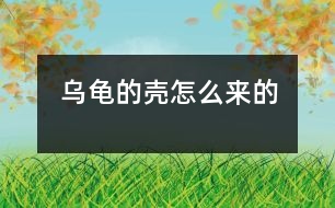 烏龜?shù)臍ぴ趺磥淼?></p>										
													 烏龜?shù)臍ぴ趺磥淼?/p>           江蘇省南京 力學(xué)小學(xué)一（四）班 李盛楠</p>          </p>                  從前，地球上只有一只烏龜，它沒有殼。<br>    有一天，它遇見了一只老虎，老虎想吃掉烏龜，烏龜?shù)纛^就跑，可是已經(jīng)晚了。老虎追上來剛要抓住它，烏龜急忙躲進(jìn)一個殼里，老虎抓住那個殼，咬也咬不動，老虎只能垂頭喪氣地走了。可是，烏龜想出來也出不來了，過了很久，烏龜?shù)臍ぷ冃瘟?。后來，它生的孩子也成這模樣了。<br>    從此以后，烏龜有了一個保護(hù)殼。						</div>
						</div>
					</div>
					<div   id=