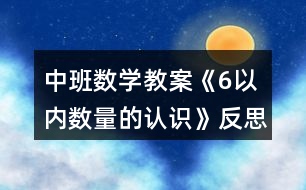 中班數(shù)學教案《6以內(nèi)數(shù)量的認識》反思