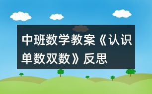 中班數(shù)學(xué)教案《認(rèn)識(shí)單數(shù)雙數(shù)》反思