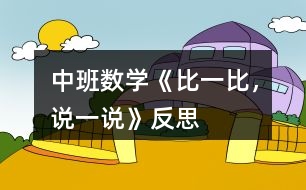 中班數(shù)學(xué)《比一比，說一說》反思