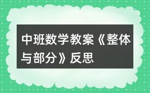 中班數(shù)學(xué)教案《整體與部分》反思