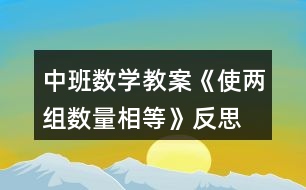 中班數(shù)學教案《使兩組數(shù)量相等》反思