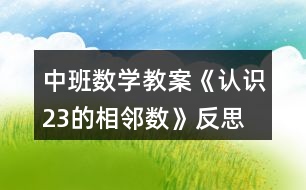 中班數(shù)學(xué)教案《認識2、3的相鄰數(shù)》反思