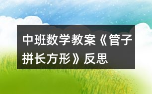 中班數(shù)學(xué)教案《管子拼長(zhǎng)方形》反思