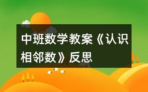 中班數(shù)學(xué)教案《認(rèn)識相鄰數(shù)》反思