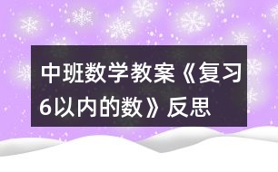 中班數(shù)學教案《復習6以內的數(shù)》反思