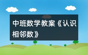 中班數(shù)學(xué)教案《認(rèn)識(shí)相鄰數(shù)》