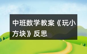 中班數(shù)學教案《玩小方塊》反思