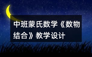 中班蒙氏數(shù)學(xué)《數(shù)物結(jié)合》教學(xué)設(shè)計