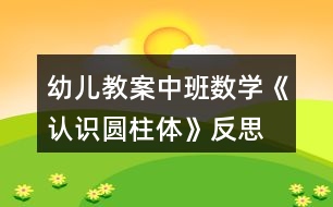 幼兒教案中班數學《認識圓柱體》反思