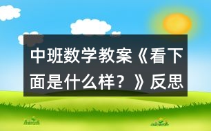 中班數(shù)學(xué)教案《看下面是什么樣？》反思