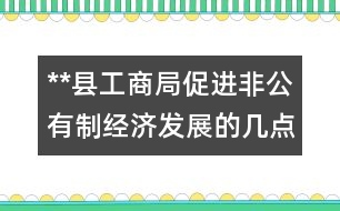 **縣工商局促進非公有制經濟發(fā)展的幾點做法和體會