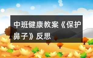 中班健康教案《保護(hù)鼻子》反思