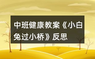 中班健康教案《小白兔過小橋》反思