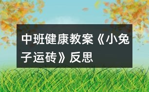 中班健康教案《小兔子運磚》反思