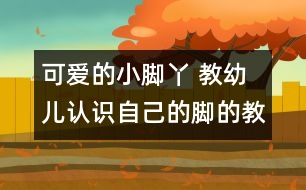 可愛的小腳丫 教幼兒認識自己的腳的教案