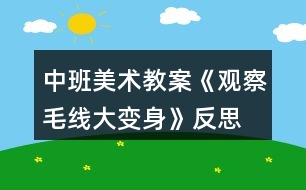 中班美術教案《觀察毛線大變身》反思