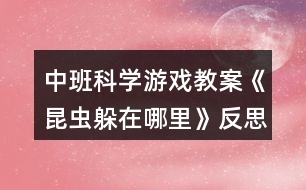 中班科學(xué)游戲教案《昆蟲(chóng)躲在哪里》反思