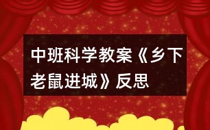 中班科學(xué)教案《鄉(xiāng)下老鼠進(jìn)城》反思