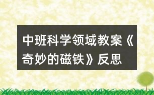 中班科學(xué)領(lǐng)域教案《奇妙的磁鐵》反思