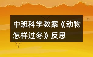 中班科學(xué)教案《動(dòng)物怎樣過(guò)冬》反思