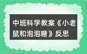 中班科學(xué)教案《小老鼠和泡泡糖》反思