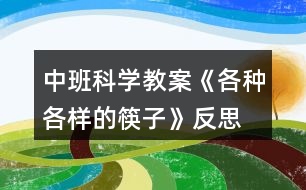 中班科學教案《各種各樣的筷子》反思