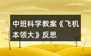 中班科學(xué)教案《飛機(jī)本領(lǐng)大》反思