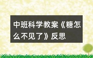 中班科學(xué)教案《糖怎么不見(jiàn)了》反思