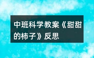 中班科學(xué)教案《甜甜的柿子》反思