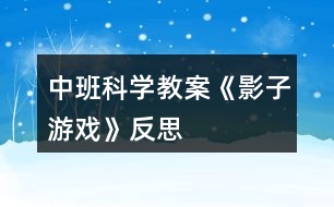 中班科學(xué)教案《影子游戲》反思