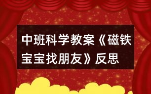 中班科學(xué)教案《磁鐵寶寶找朋友》反思