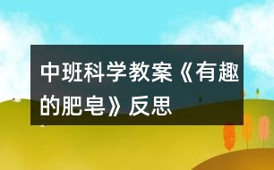 中班科學(xué)教案《有趣的肥皂》反思