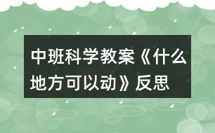 中班科學教案《什么地方可以動》反思