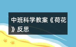 中班科學教案《荷花》反思