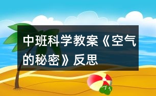 中班科學(xué)教案《空氣的秘密》反思