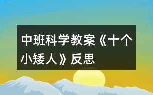 中班科學教案《十個小矮人》反思